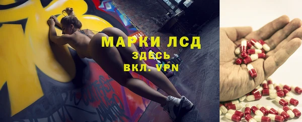 прущий лед Дмитриев