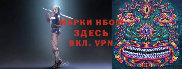 прущий лед Дмитриев