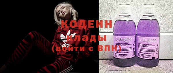 прущий лед Дмитриев
