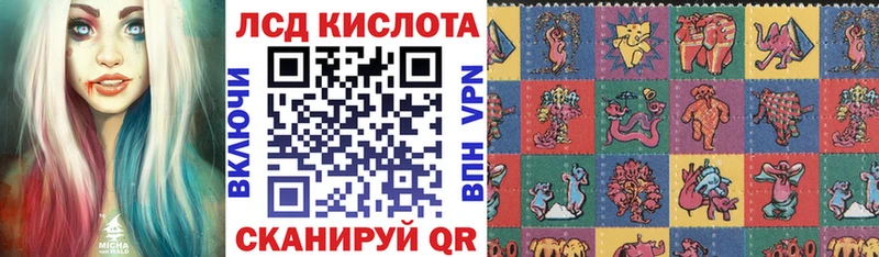 hydra как зайти  Приморск  Наркотические марки 1500мкг 