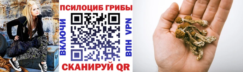 МЕГА как войти  наркотики  Приморск  Псилоцибиновые грибы Cubensis 